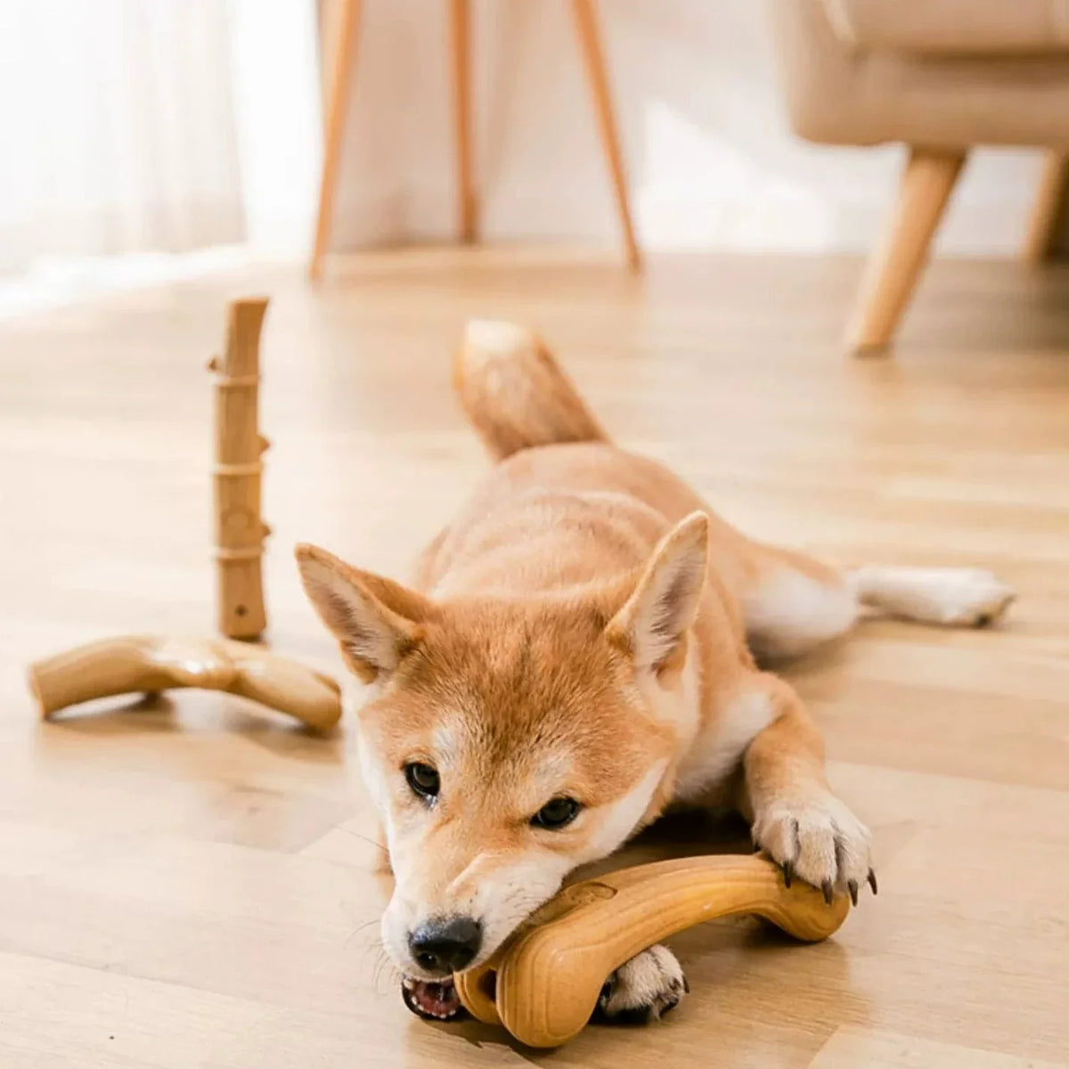 Pupwonders | Pine Wood Carved Dog Chew Toy