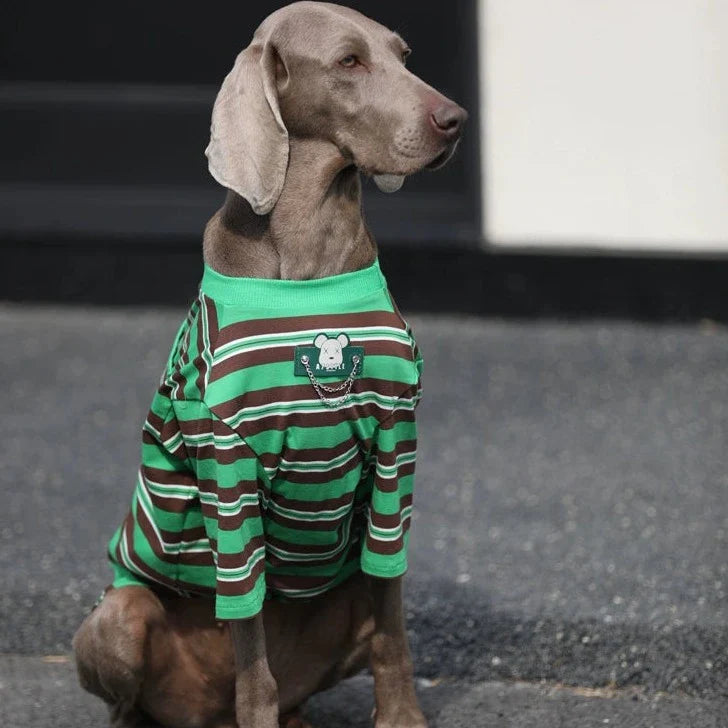 Pupwonders | 100% Cotton Dog T-Shirt,Green
