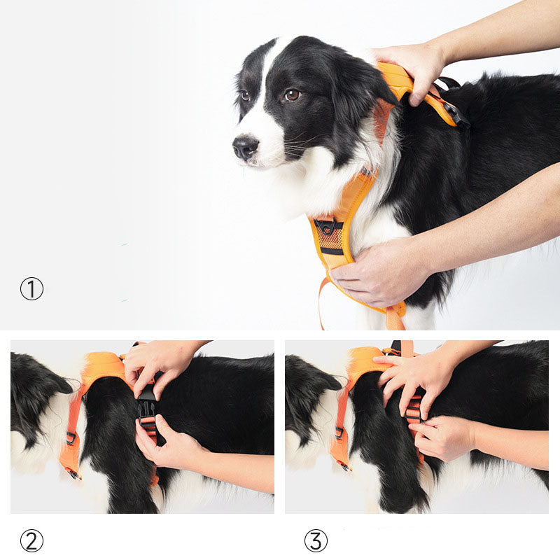 Pupwonders  Dog Harness and Retractable Leash Set All-in-One