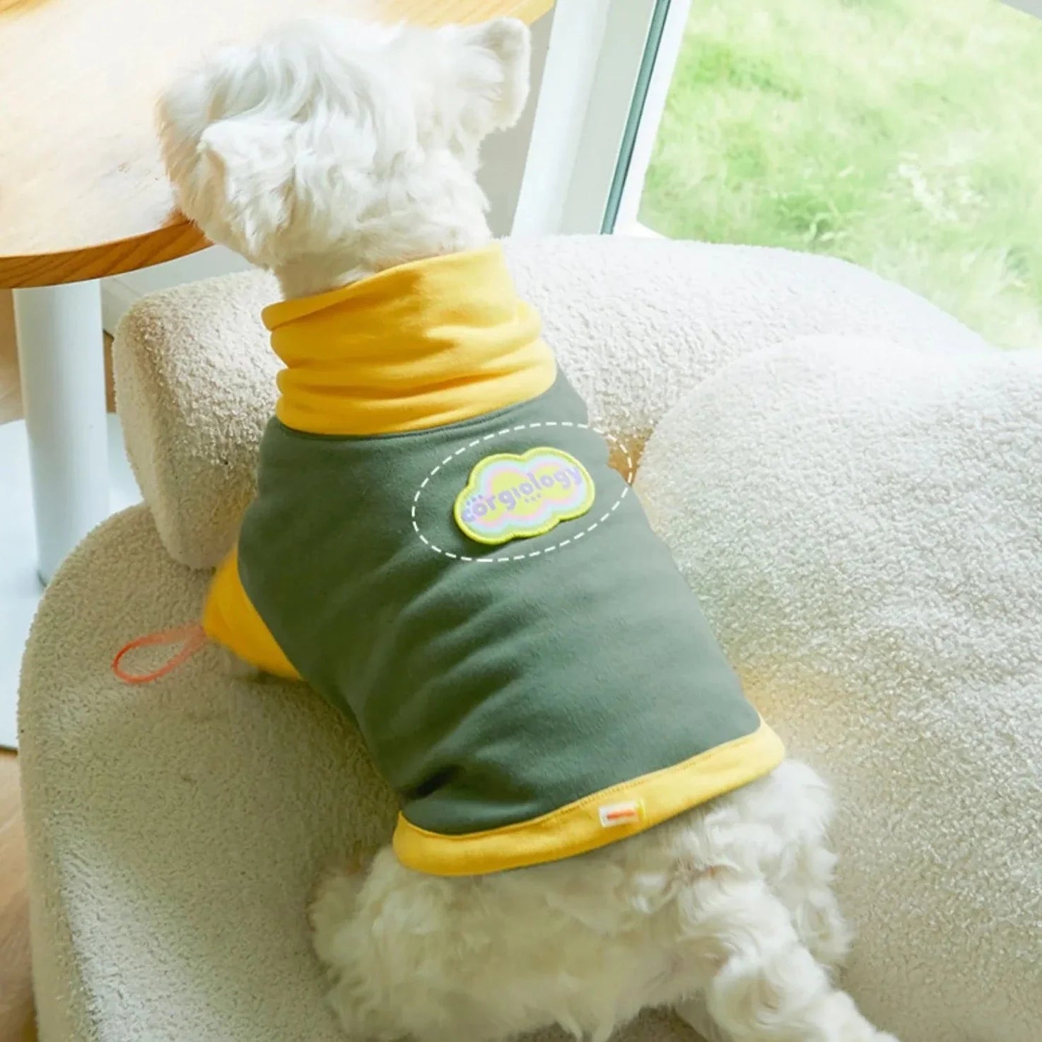 Corgiology | Color Block High-Neck Knit Sweater.Green