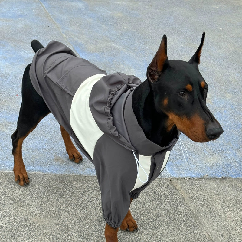 Pupwonders | Cotton Casual Dog Assault Jacket - Grey,Grey