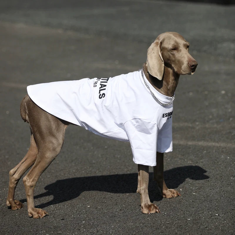 Pupwonders | 100% Cotton Dog T-shirt
