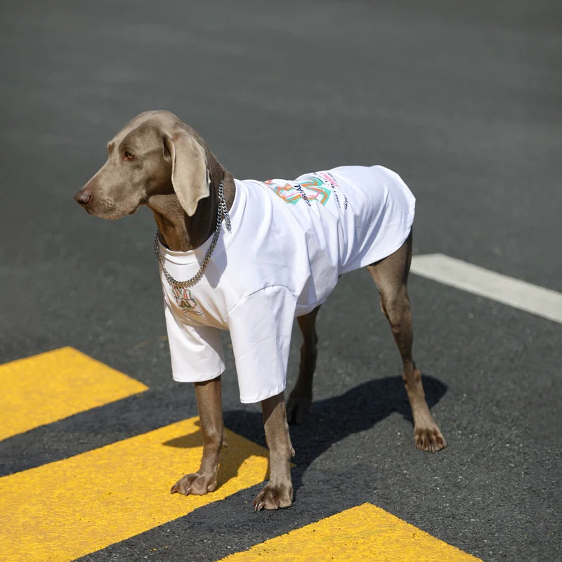 Pupwonders | 100% Cotton Street Style Dog T-shirt