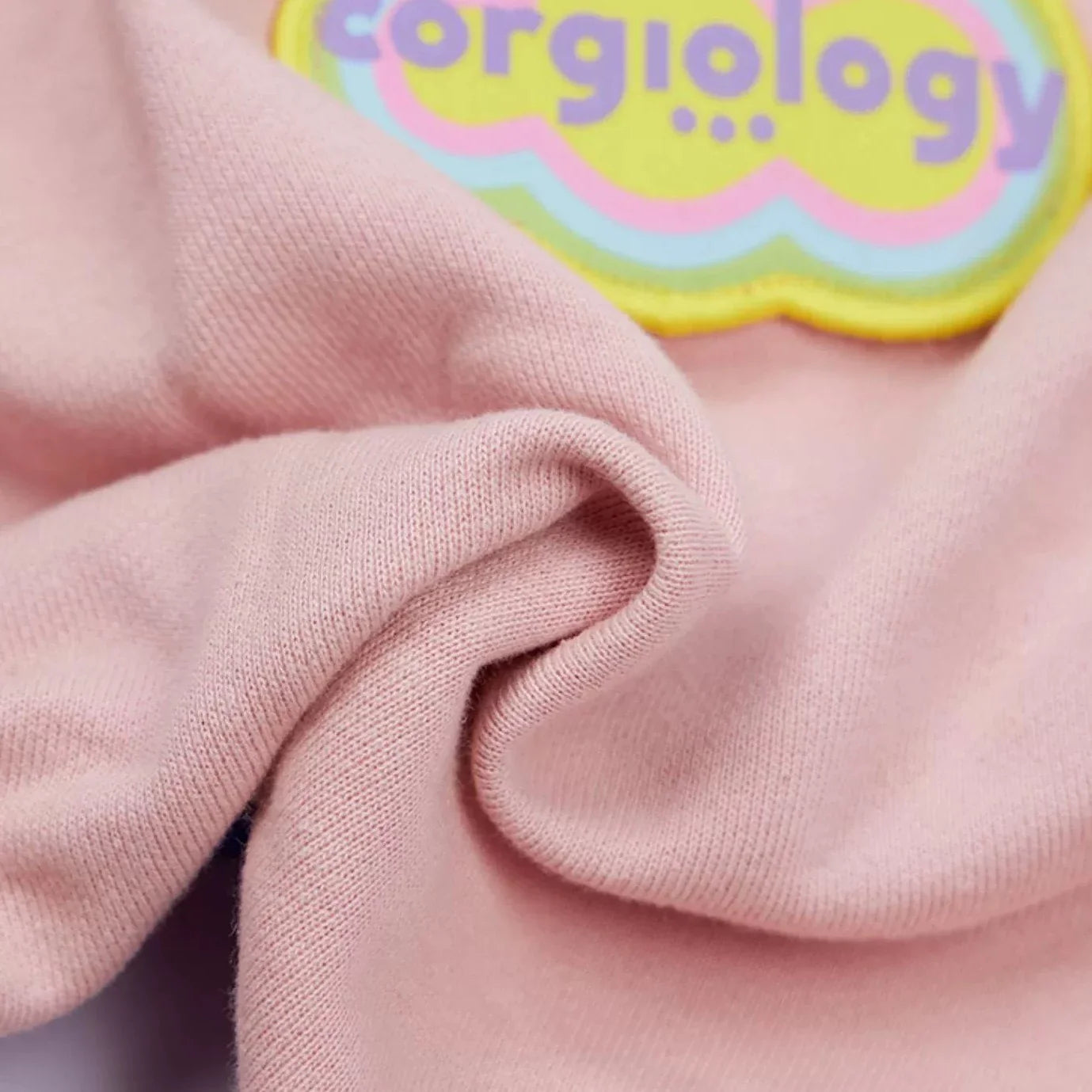 Corgiology | Color Block High-Neck Knit Sweater.Green.Pink