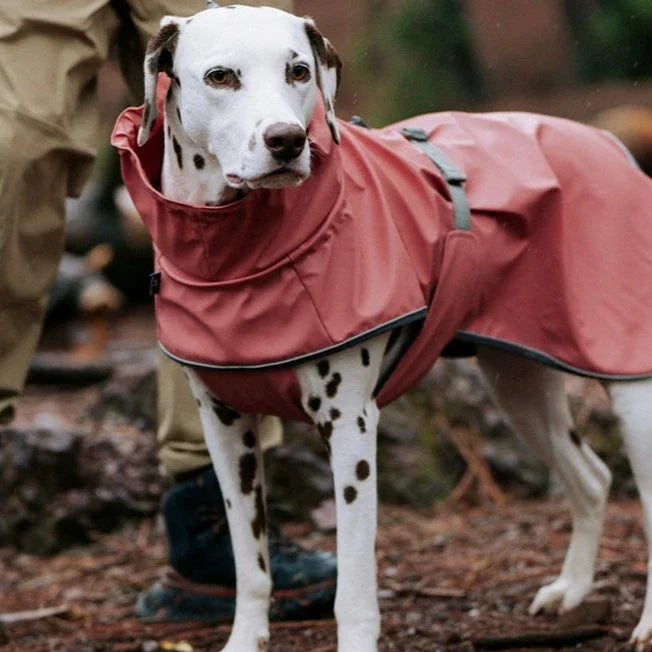 BlackDoggy | Waterproof Dog Rain Jacket/Riancoat - Pink