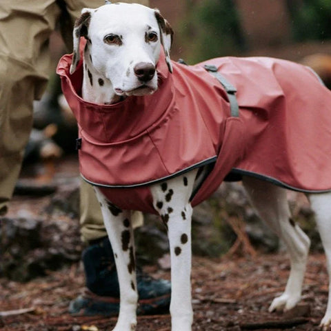 BlackDoggy | Waterproof Dog Rain Jacket/Riancoat - Pink