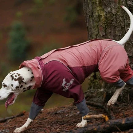 BlackDoggy | Four Leg Covered Dog Raincoat - ,Pink