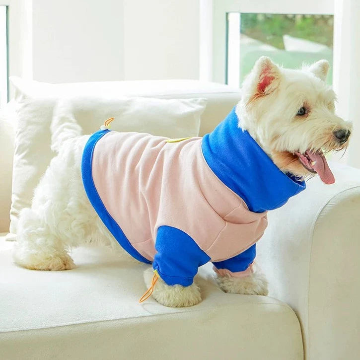 Corgiology | Color Block High-Neck Knit Sweater.Pink