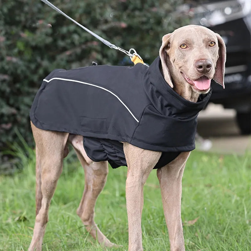 Pupwonders | Warm Waterproof Dog Jacket Raincoat,Blue,Grey,Black