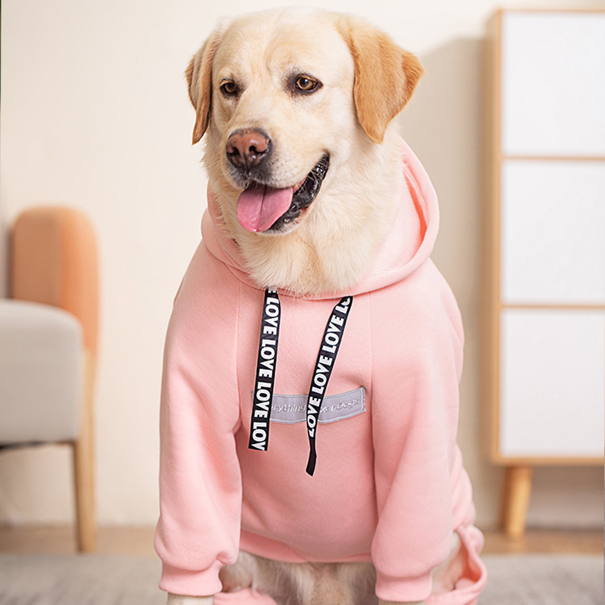 Pupwonders | Cotton-lined Dog Hoodie,Pink