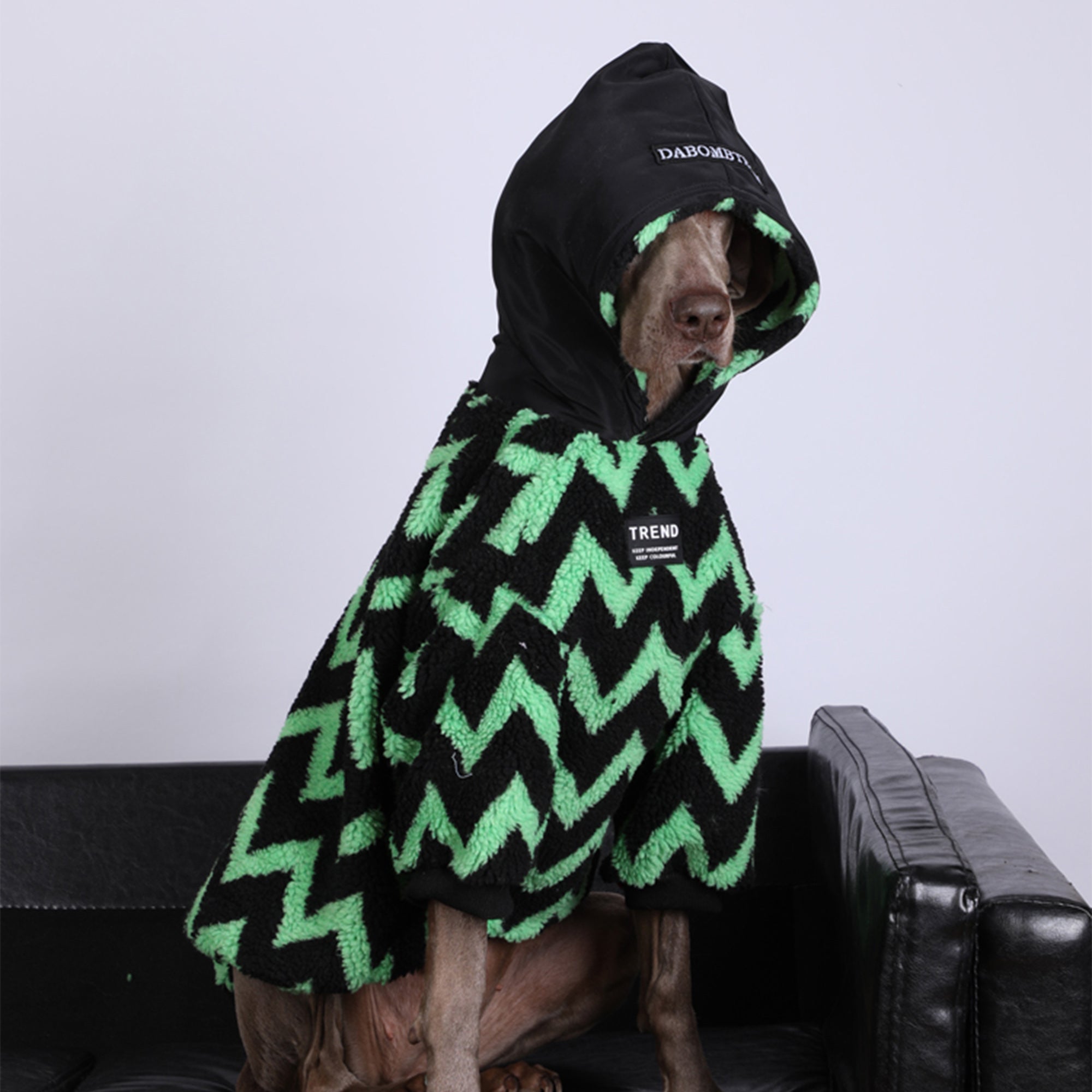 Pupwonders | Thickened Warm Plaid Dog Sweater / Hoodie,Green