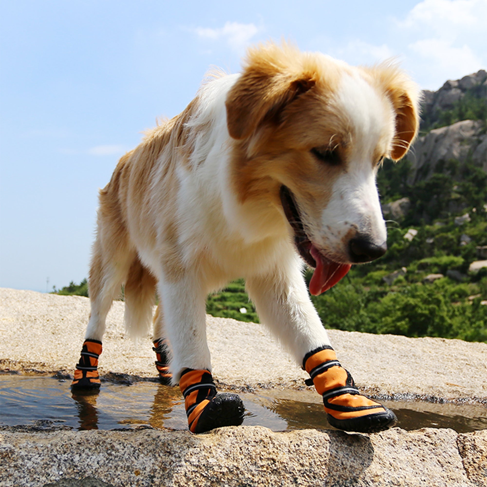 Pupwonders | Waterproof High-Top Dog Boots,Orange