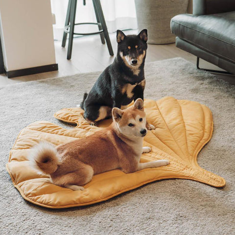 Folding Leaf Shape Dog Mat,Yellow,Grey,Pink,Green,Brown