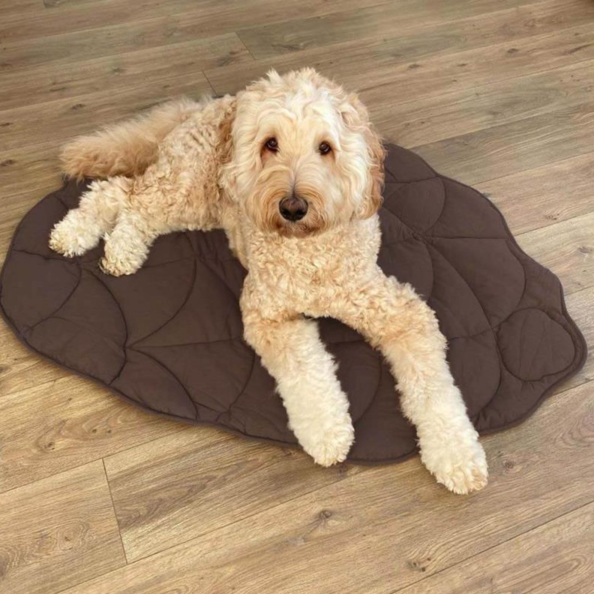 Folding Leaf Shape Dog Mat,Yellow,Grey,Pink,Green,Brown