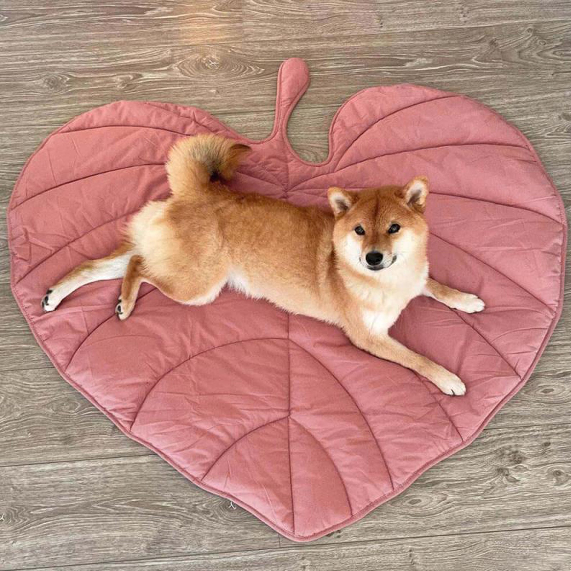 Folding Leaf Shape Dog Mat,Yellow,Grey,Pink,Green,Brown