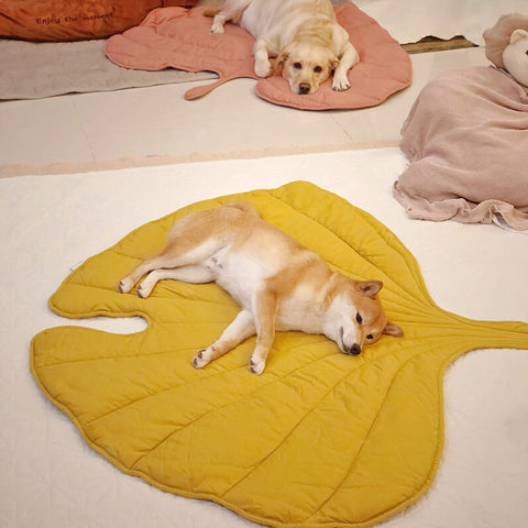 Folding Leaf Shape Dog Mat,Yellow,Grey,Pink,Green,Brown