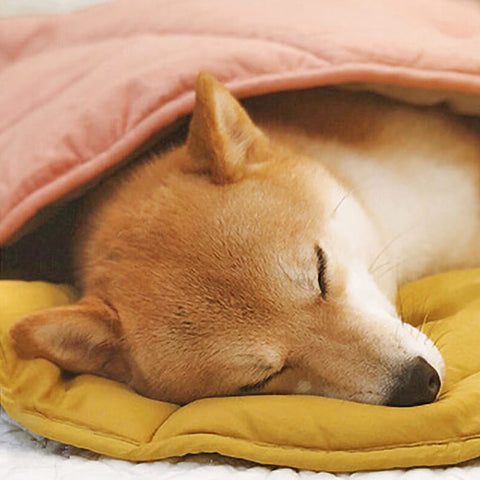 Folding Leaf Shape Dog Mat