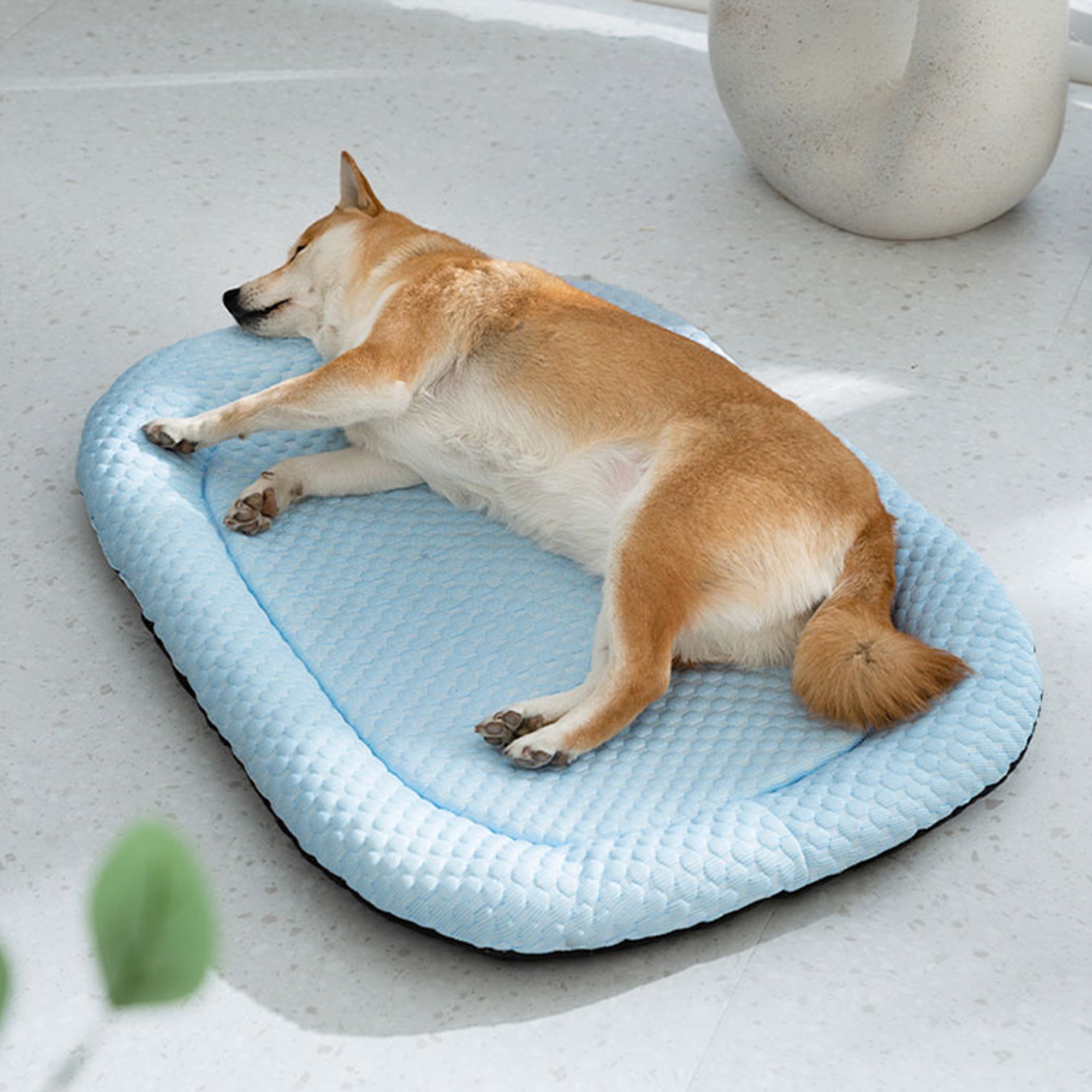 Massage Ice Silk Dog Mat,Blue,Green