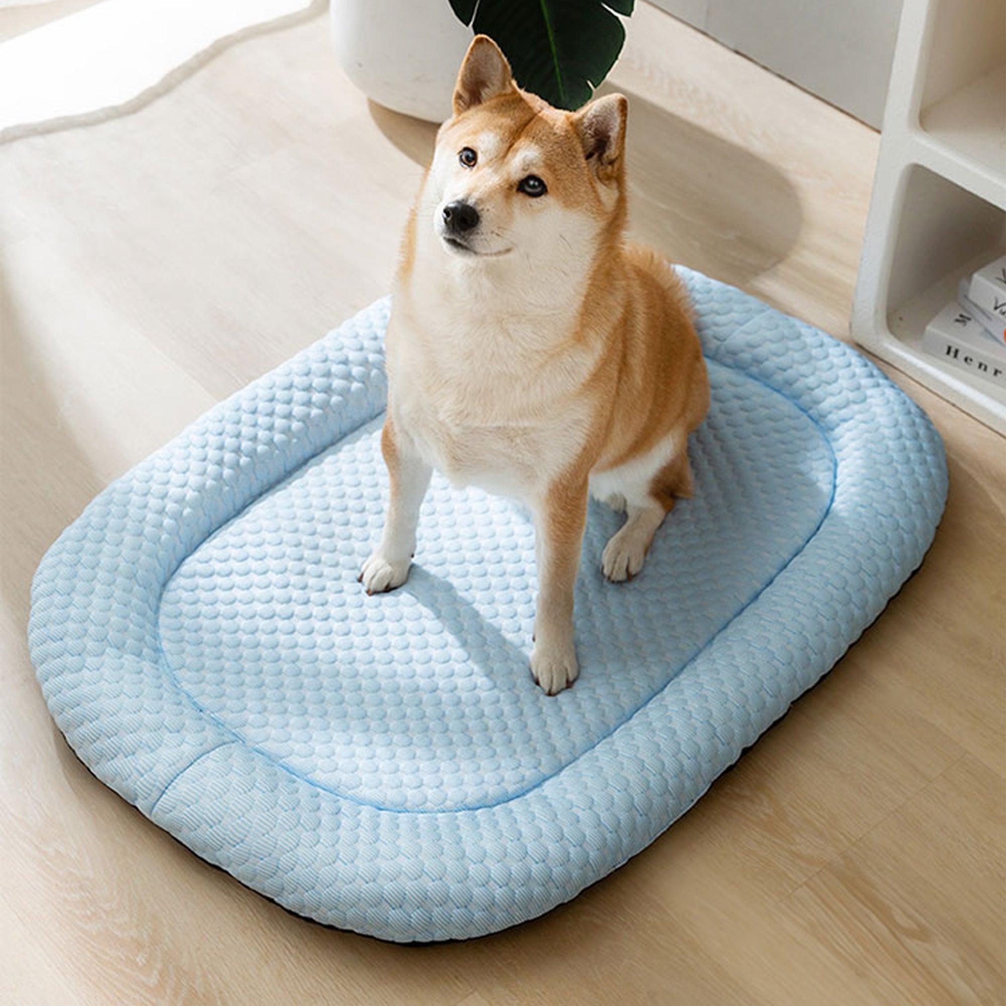 Massage Ice Silk Dog Mat,Blue,Green