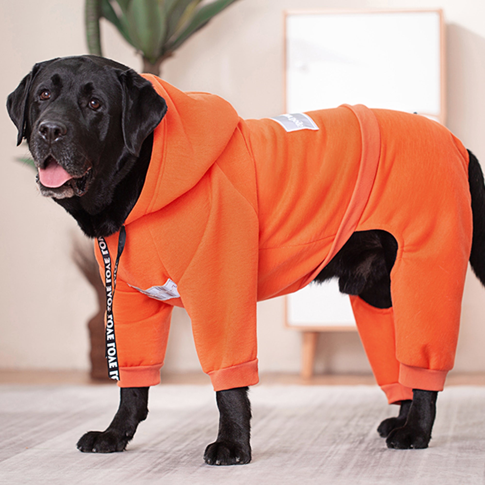 Pupwonders | Cotton-lined Dog Hoodie,Orange