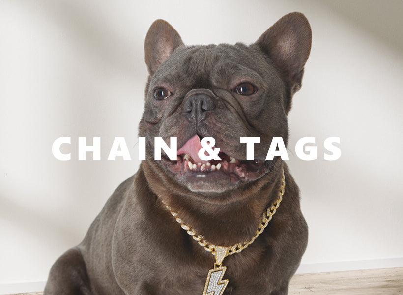 Dog Cuban Chain & Tags