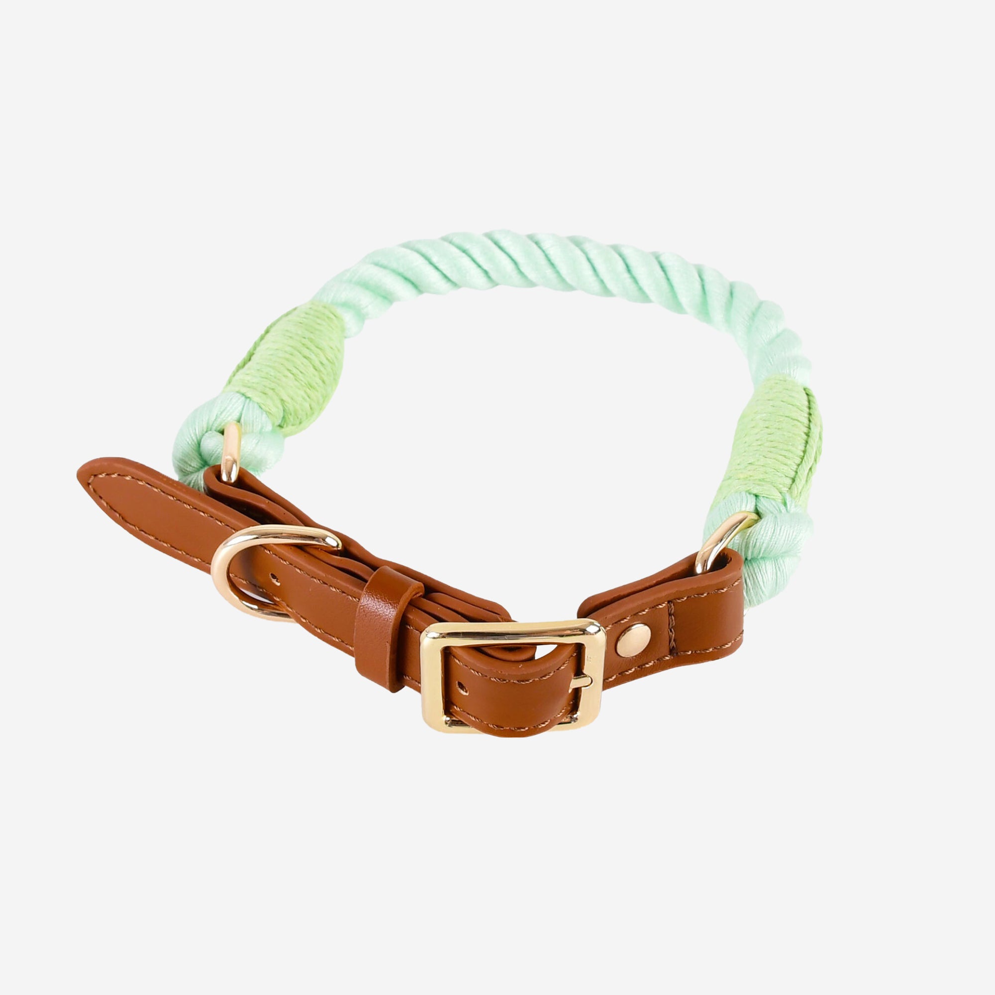 Pupwonders | Boston Leather & Braided Cotton Pet Collars