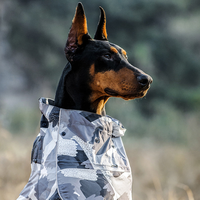 Camo dog outlet raincoat