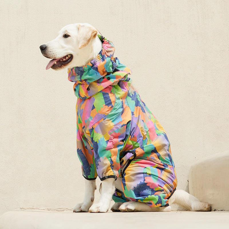 Corgiology | Casual Hooded Raincoat,Rainbow