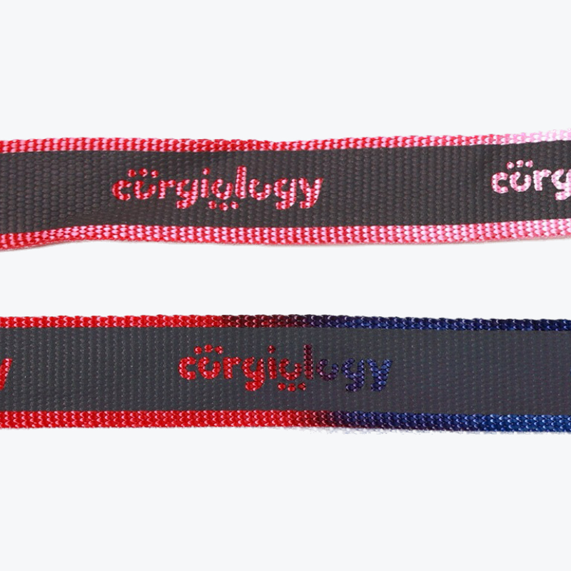Corgiology | Lifetime Walking Kit