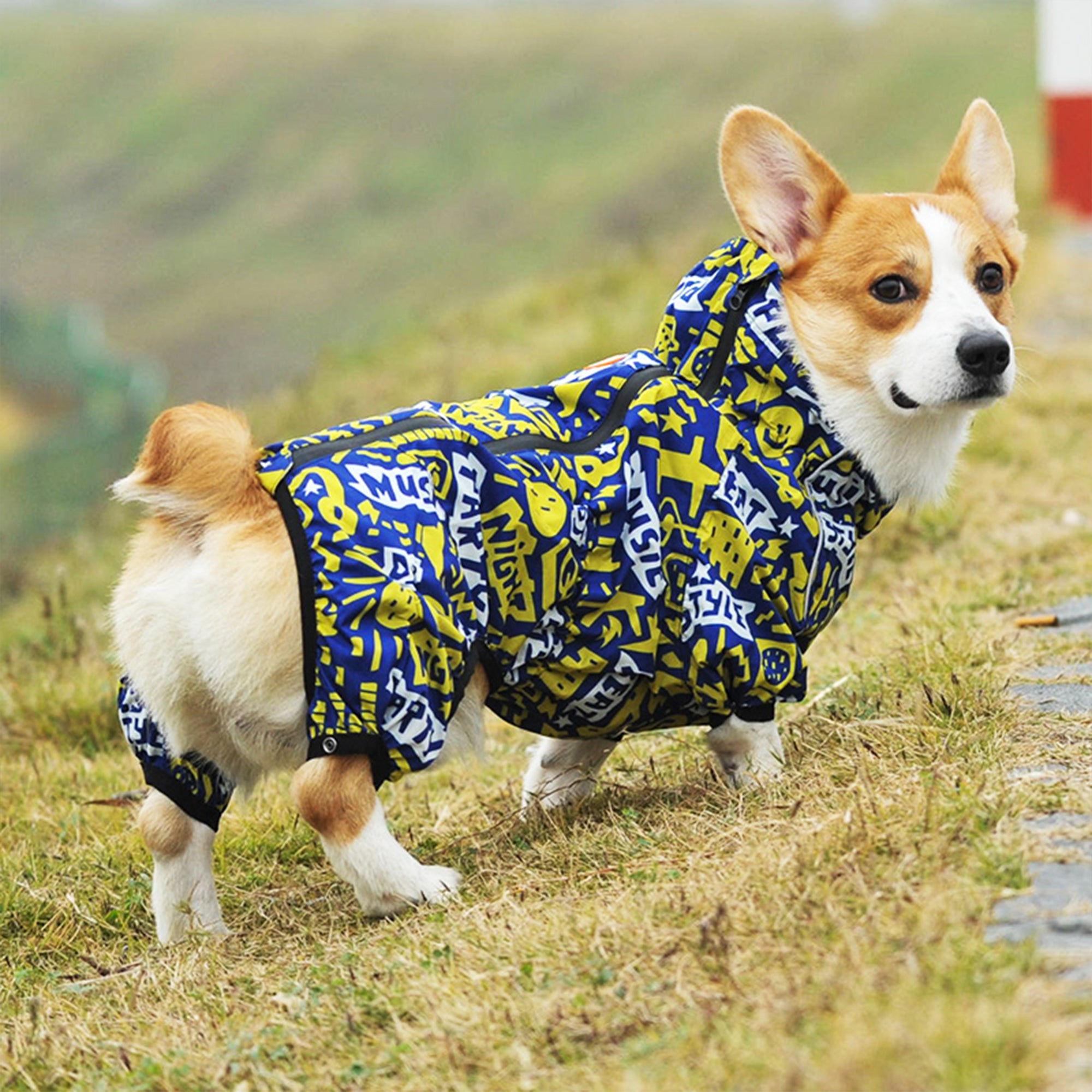 Corgiology | Happy Zoo Raincoats For Small Dog (For Corgi)