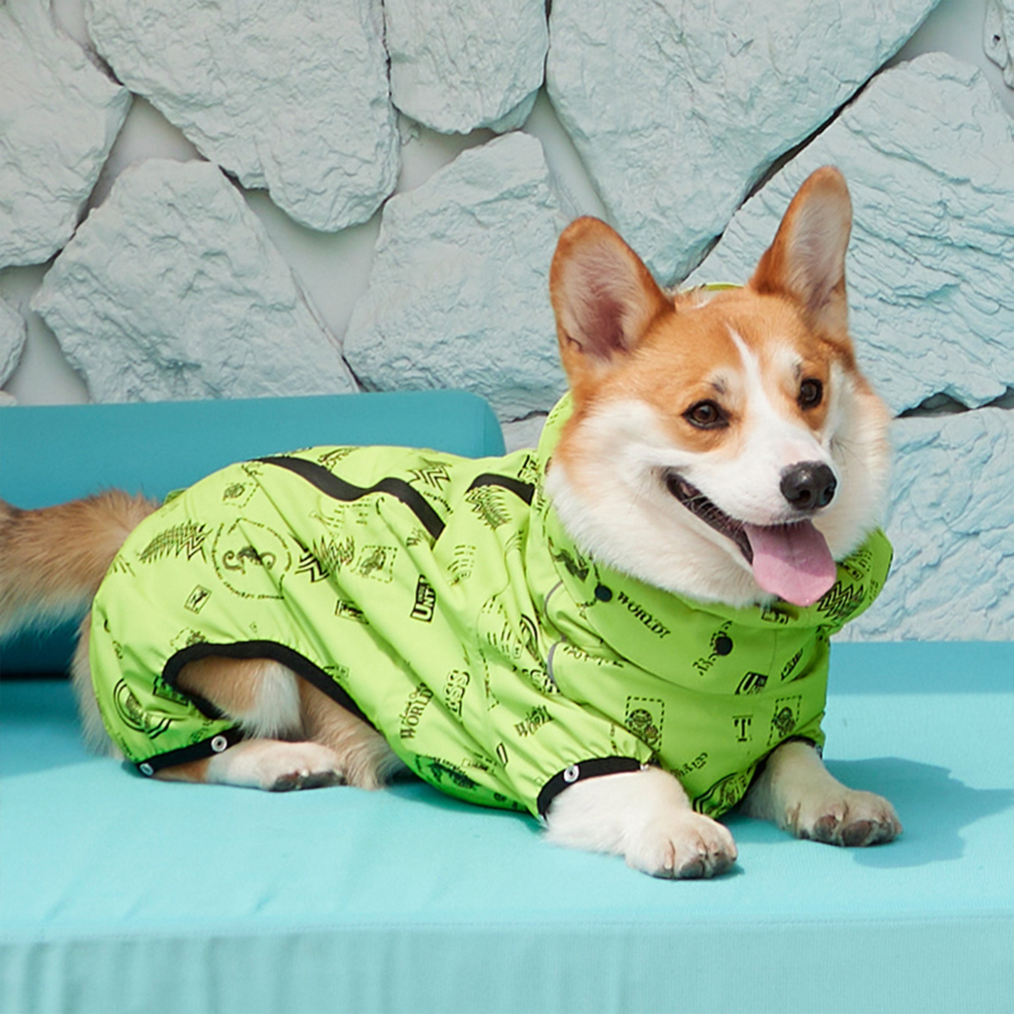 Corgiology | Neon Green Dog Raincoats,Green