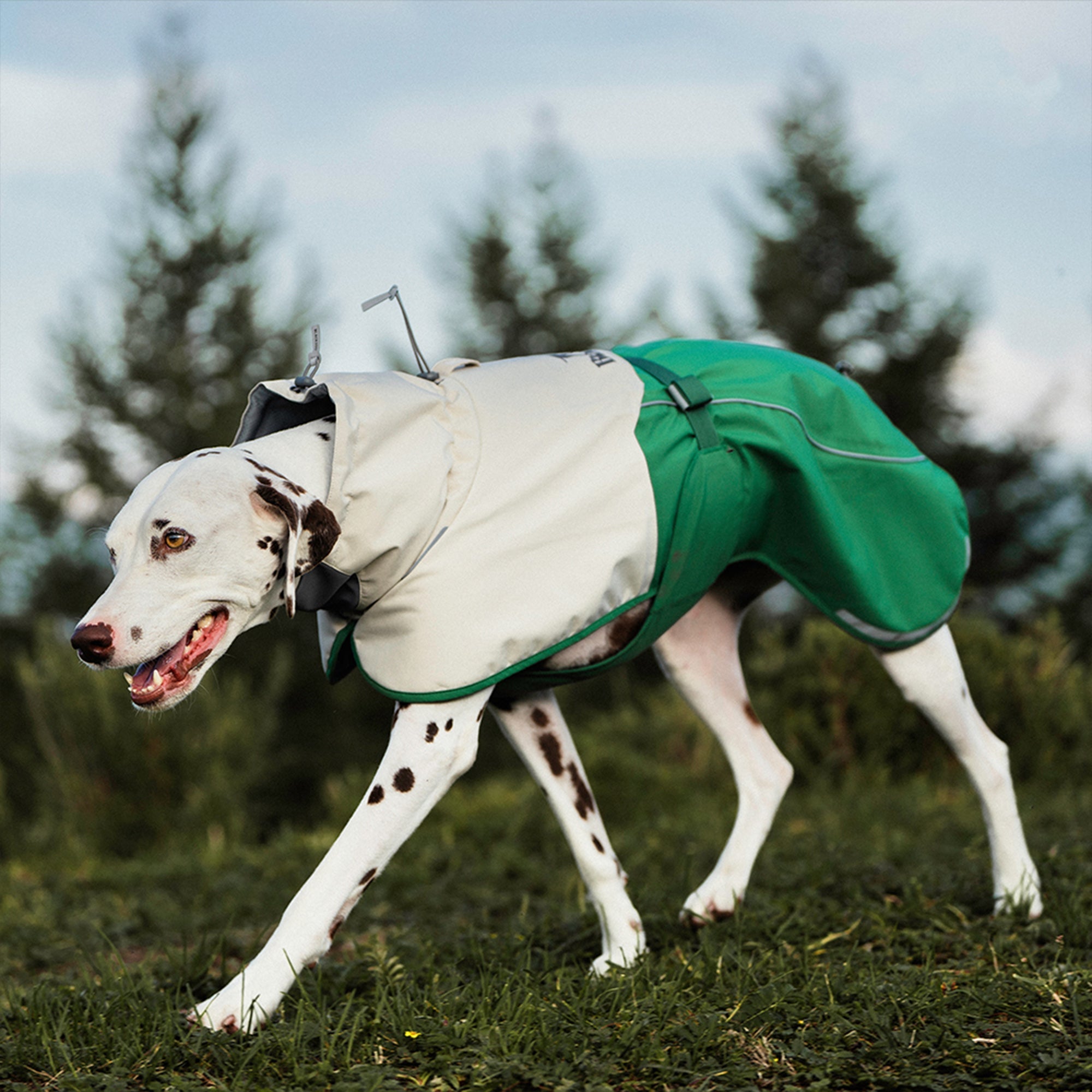 Hardshell Dog Waterproof Jacket - Green,Green