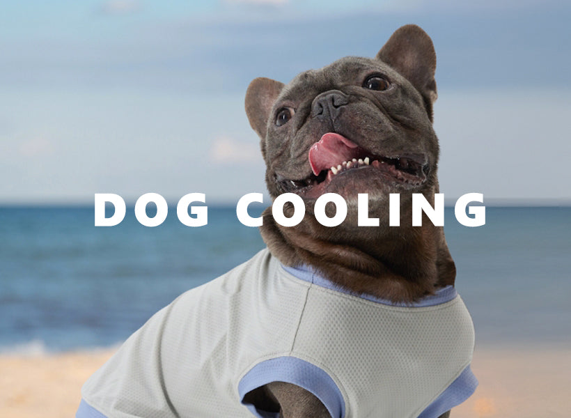 Dog Cooling