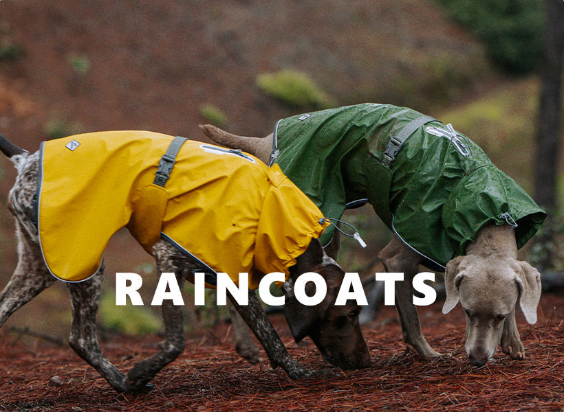 Dog Raincoats & Jackets