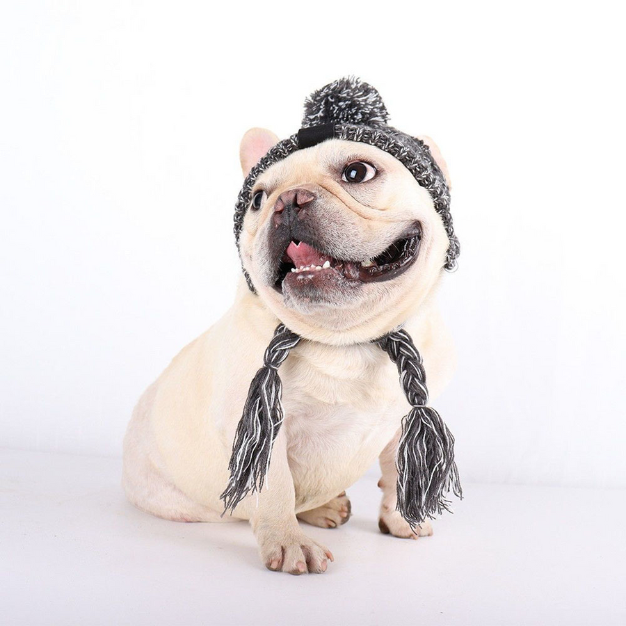 Pupwonders | Charming Canine Pom-Pom Pet Hat