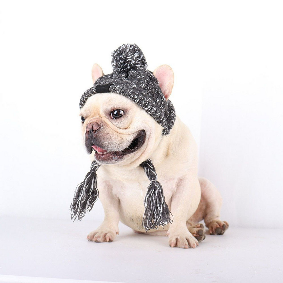 Pupwonders | Charming Canine Pom-Pom Pet Hat