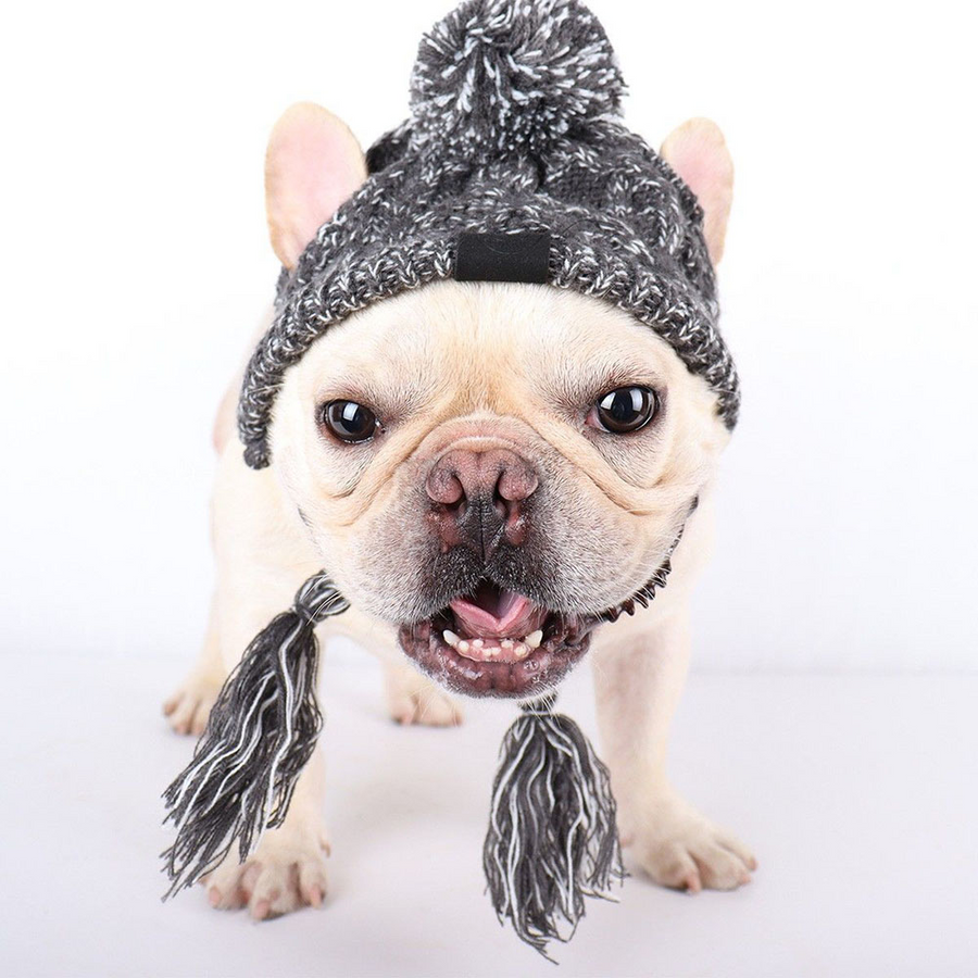 Pupwonders | Charming Canine Pom-Pom Pet Hat