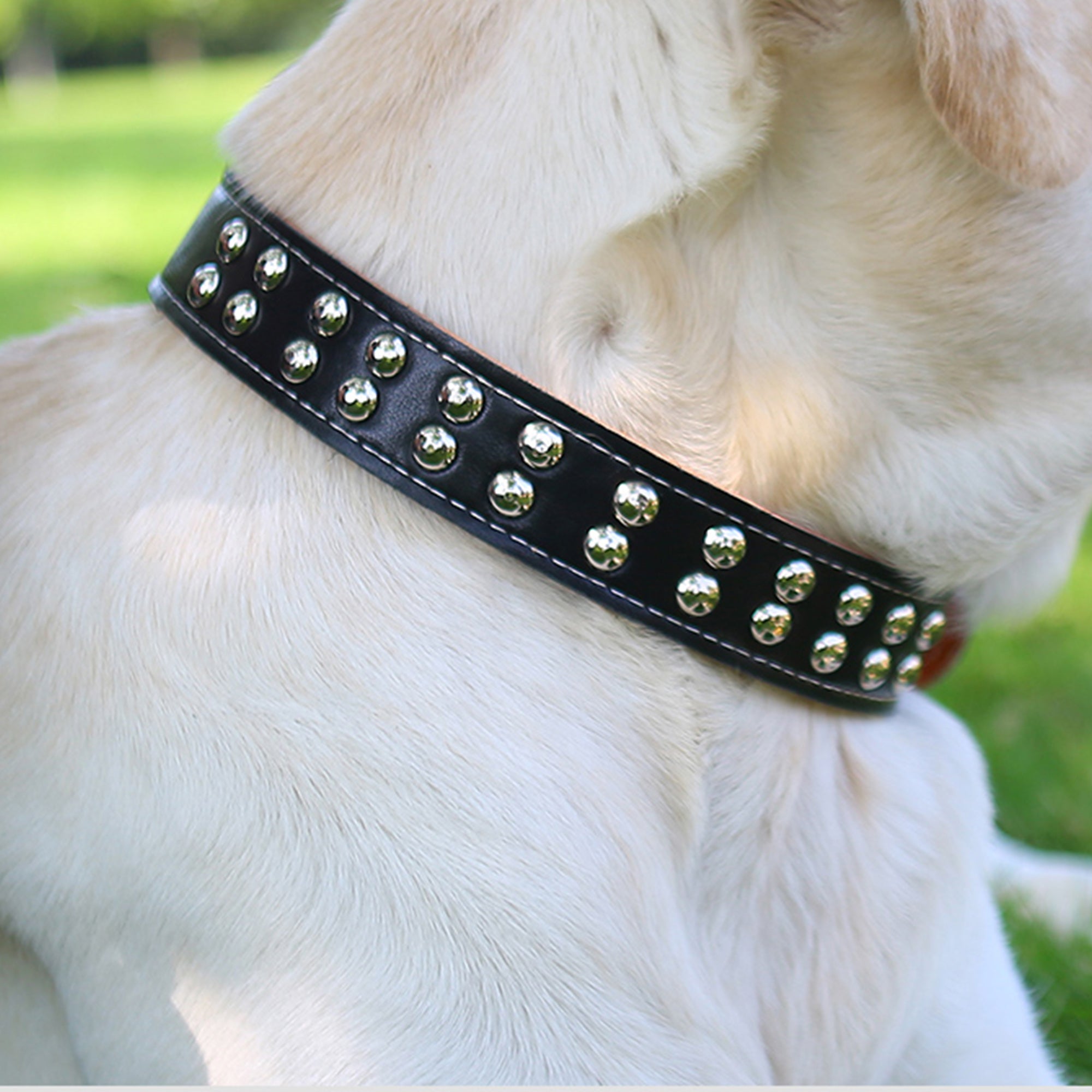 Pupwonders | Full Grain Leather Shockproof Dog Collar,Brown
