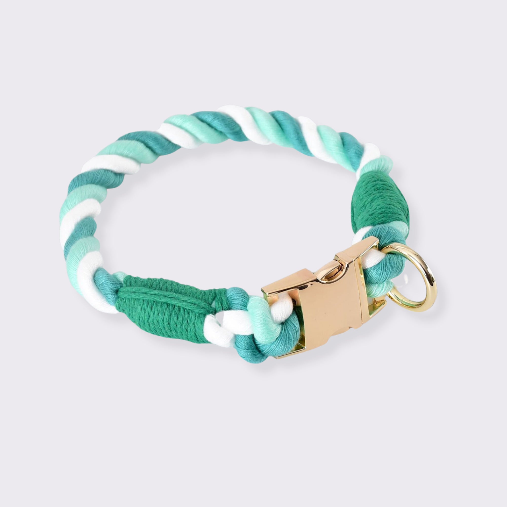 Pupwonders | Rainbow Handmade Braided Pet Collars Green / S