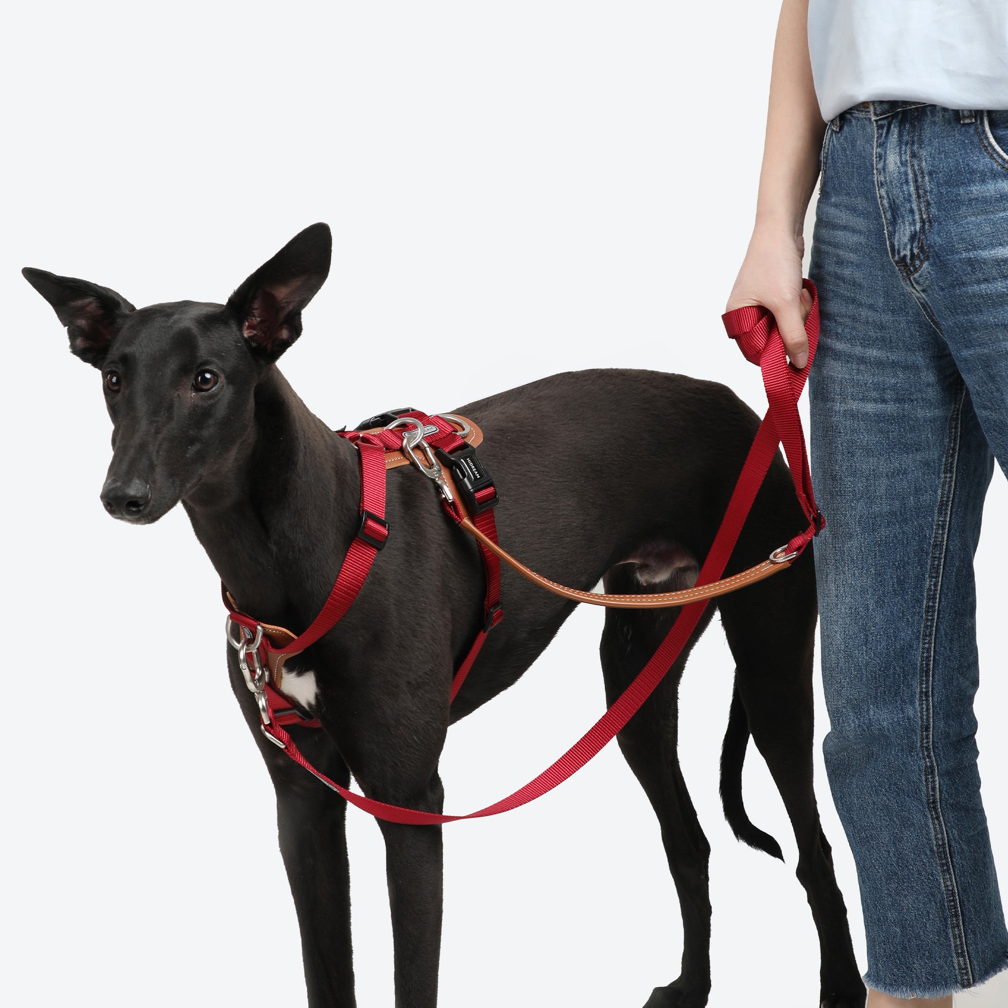 HiDream Nylon Dog Leashes For Small Large Dogs