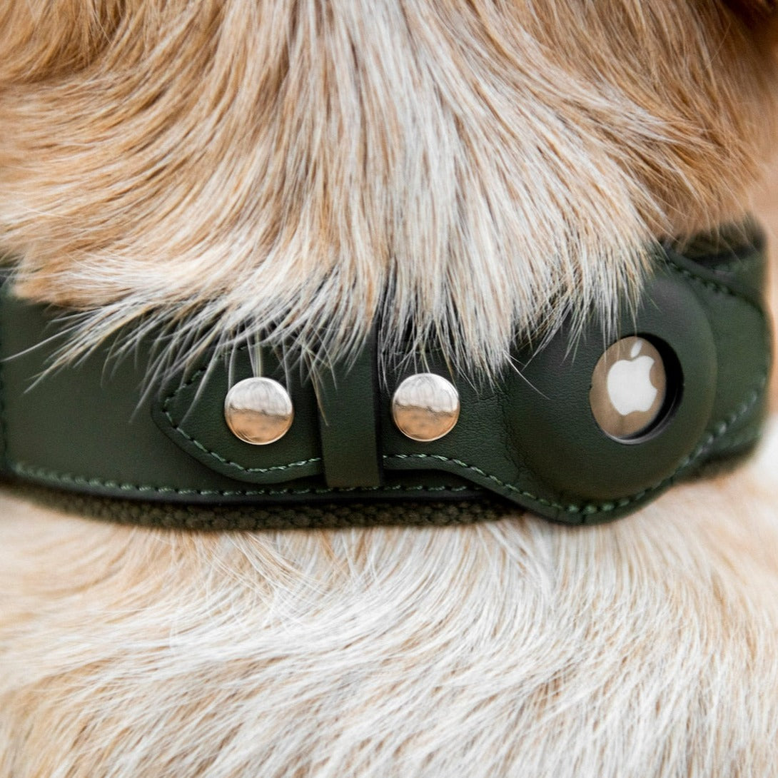 Pupwonders | Airtag Dog Collars,Tan,Black,Blue,Pink,Army Green