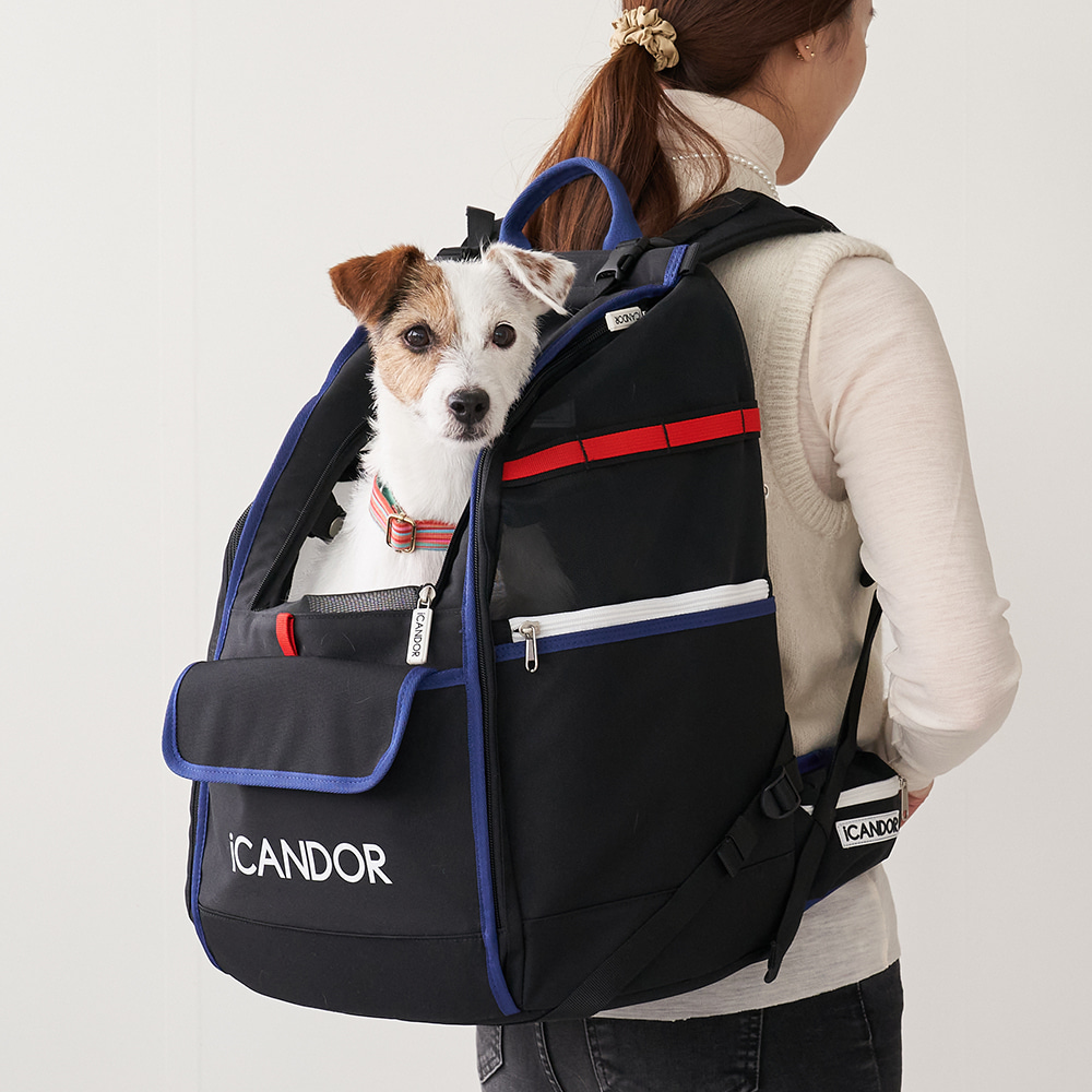 iCandor - iBag Pet Carrier - Sassy Cream (2 Sizes)