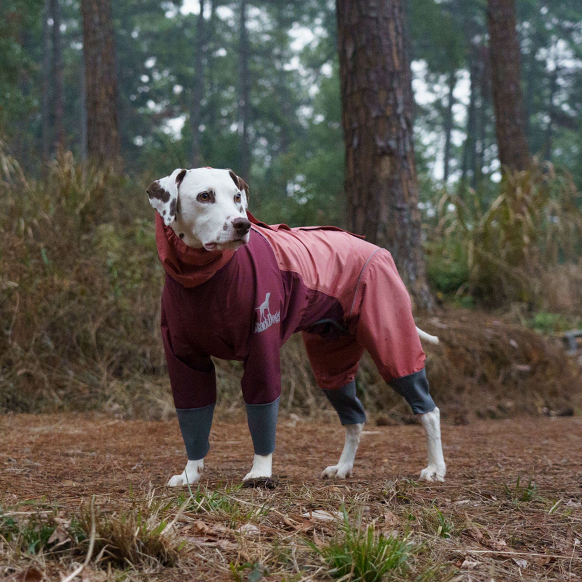 Four Leg Covered Dog Raincoat - Pink