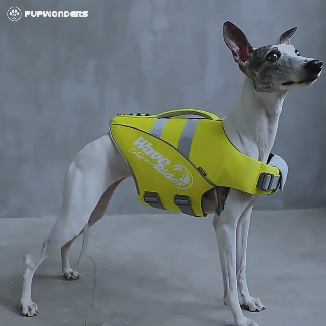Dogs Swimming Clothes-Life Jacket