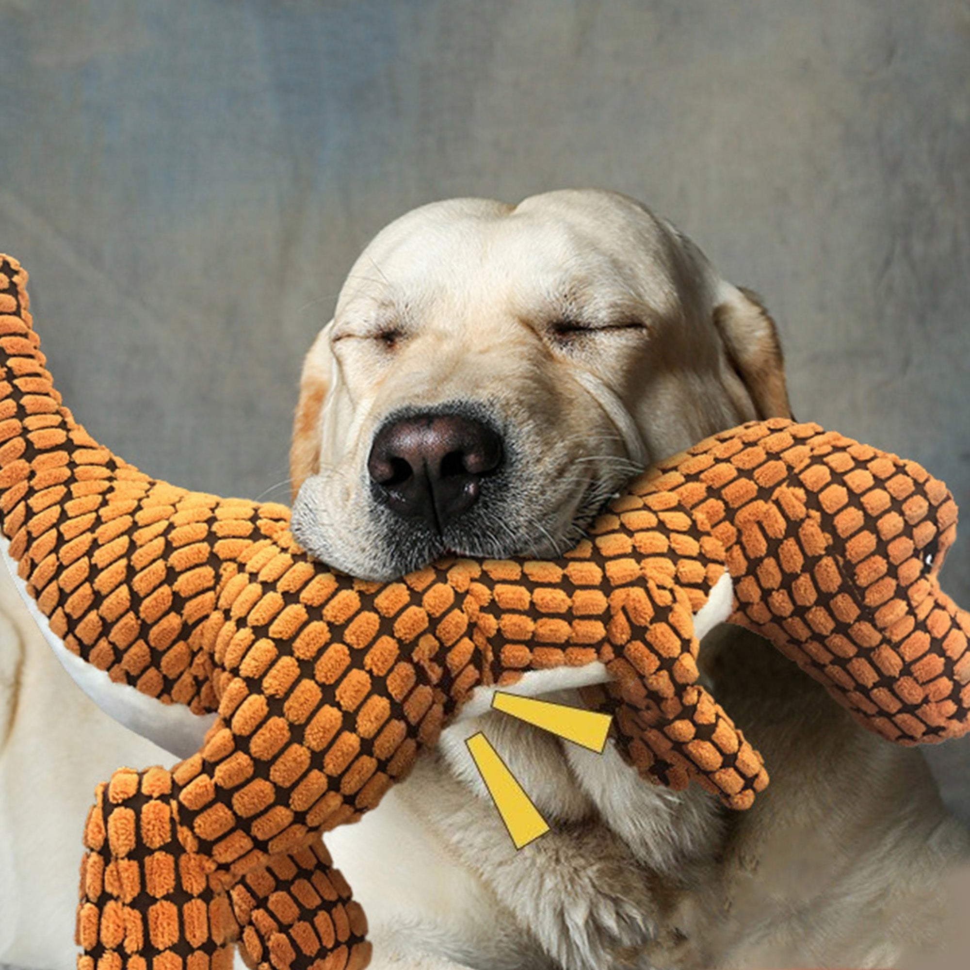 Bulk store dog toys