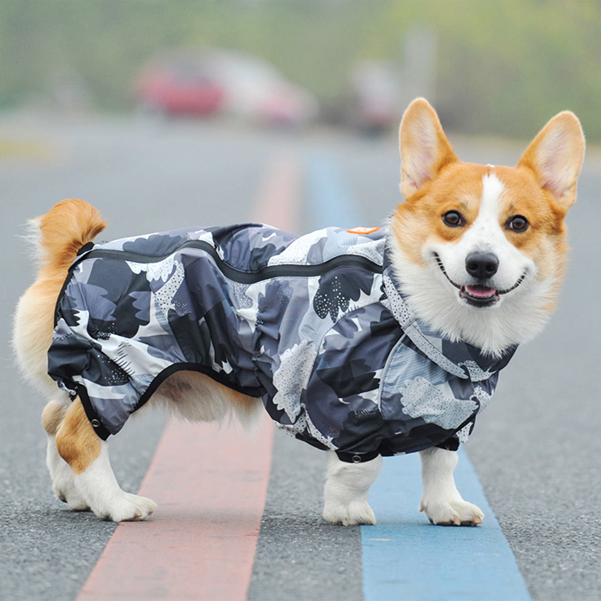 Corgi sale rain jacket