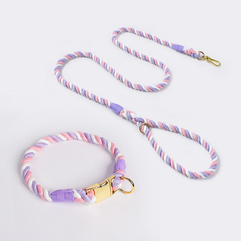 Pupwonders | Rainbow Handmade Traction Rope Walking Kit Purple / XS