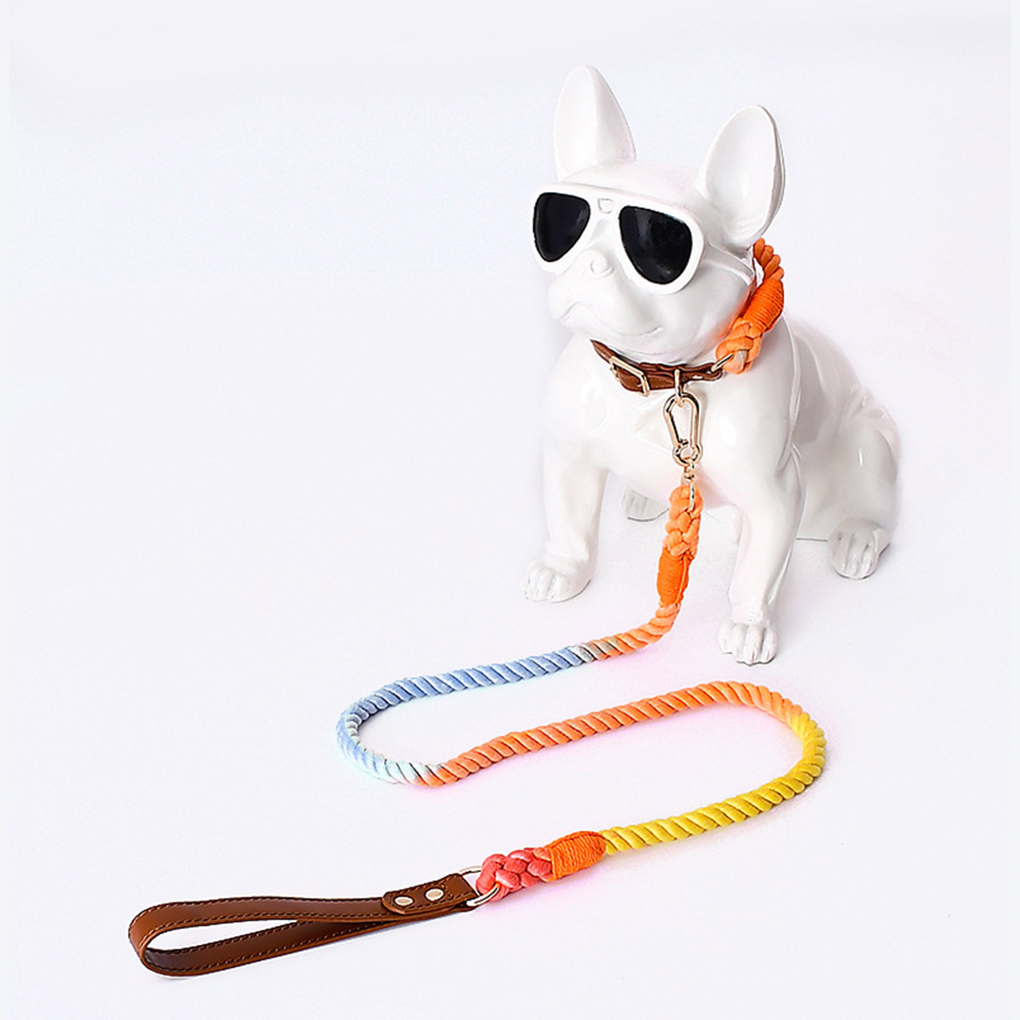 Pupwonders | Boston Rainbow Leather & Braided Cotton Pet Walk Kits