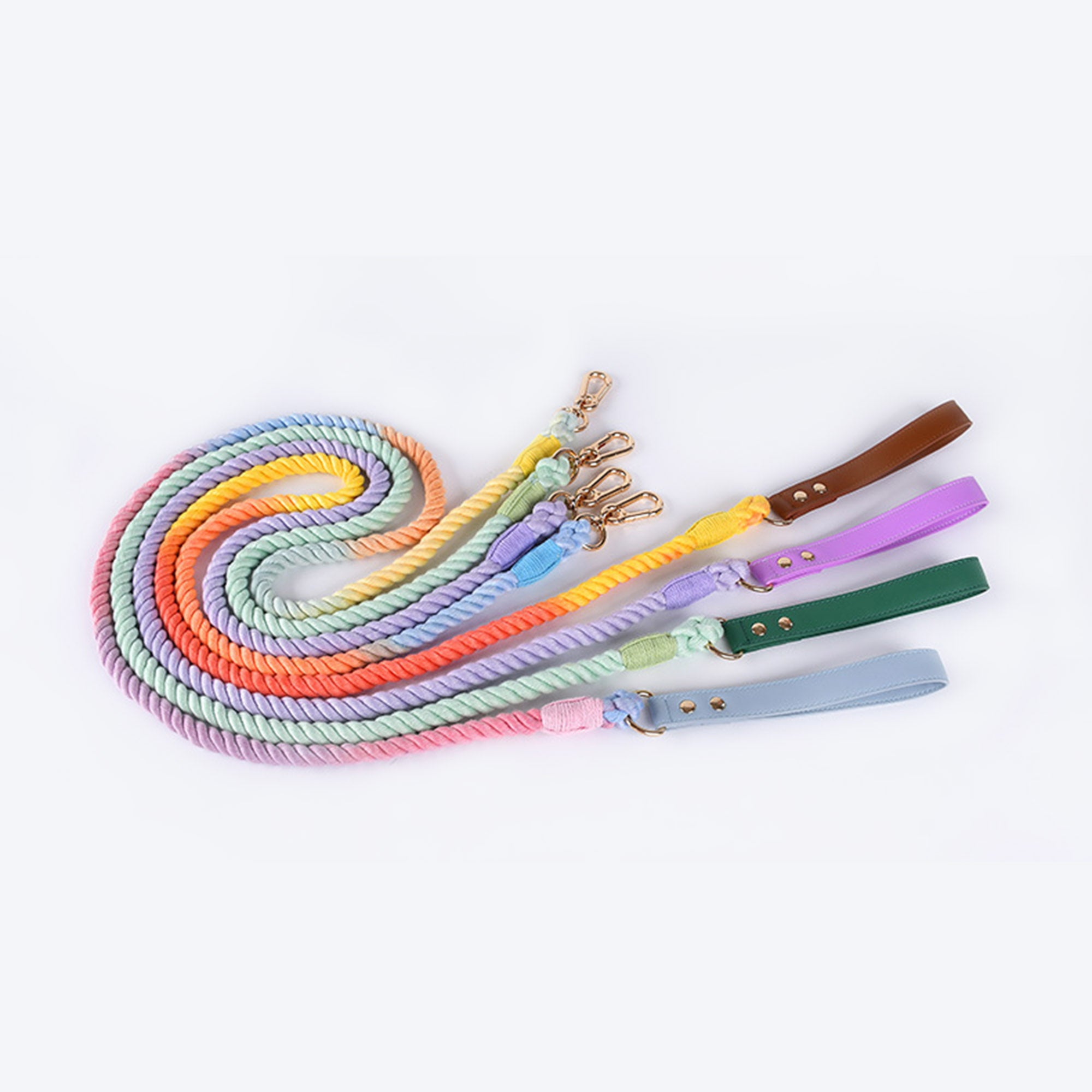 Pupwonders | Boston Rainbow Leather & Braided Cotton Pet Walk Kits