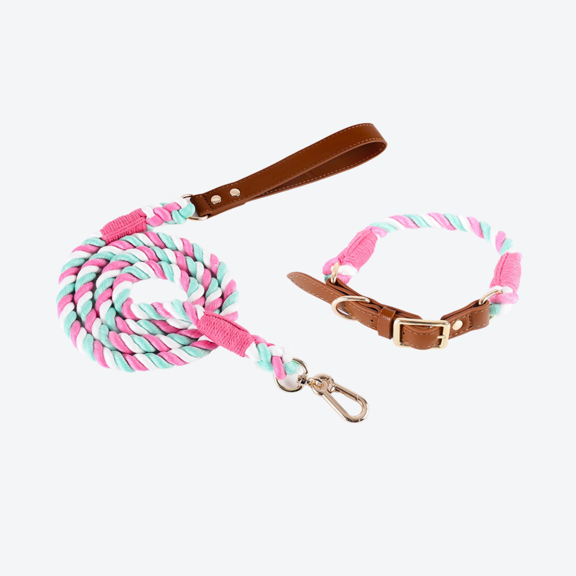Pupwonders | Boston Rainbow Leather & Braided Cotton Pet Walk Kits Pink / S